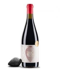 Qvevri Wine Cellar Saperavi is een krachtige rode natuurwijn van Saperavi uit Kakheti, vergist en gerijpt in qvevri. Diep, kruidig en ongefilterd.