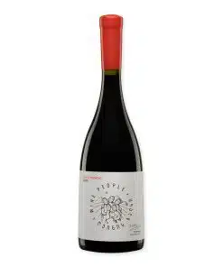 Wine People Black Muscat is een soepele rode qvevriwijn met Muscat, Tavkveri en Saperavi. Licht paars, floraal en fris. Heerlijk bij barbecue en kaas.