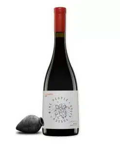 Wine People Shavkapito is een robijnrode qvevriwijn uit Kartli, gemaakt door Evgenia Grigorieva. Kruidig, aards en perfect bij lamsvlees.