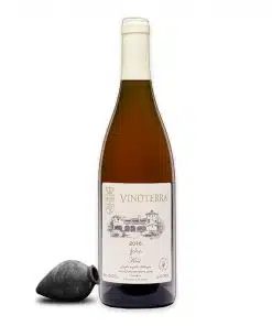 Proef eens deze Vinoterra Kisi, een heerlijke droge, amber wijn met unieke smaak uit Georgië bij Wijnhuis-Mana.nl ✓ Service ✓ Kwaliteit ✓ Snelle levering