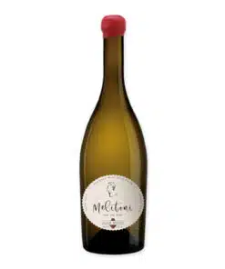 Proef de Melitoni Black Muscat, een volle droge, rode wijn met unieke smaak uit Georgië bij Wijnhuis-Mana.nl ✓ Service ✓ Kwaliteit ✓ Snelle levering