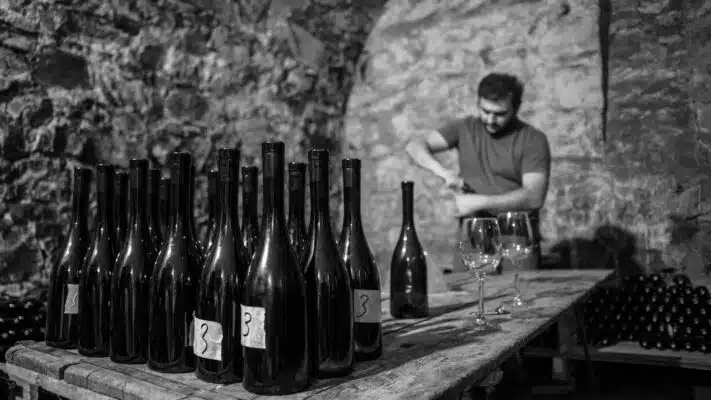 Wijnhuis-Mana.nl | Wine People by Teliani Valley Collection