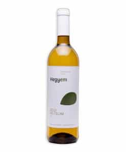 Proef eens deze Hegyem Zöld Veltelini BIO een droge witte wijn uit Hongarije bij Wijnhuis-Mana.nl ✓ Service ✓ Kwaliteit ✓ Snelle levering