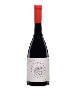 Ontdek de unieke Wine People Red Blend Dachi Tavadze, een ambachtelijke qvevri-wijn vol karakter uit Kakheti. Proef deze bijzondere blend nu!