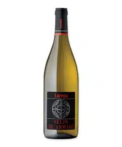 Geniet van de frisse en sprankelende smaak van Luretta Malvasia Dolce Boccadirosa, een perfecte wijn voor speciale gelegenheden en heerlijk bij diverse gerechten.