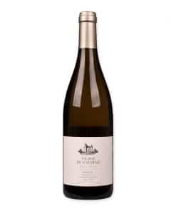 Ontdek Philibert du Charme Chardonnay: een frisse, elegante wijn uit Bourgogne met tonen van citrus en bloemen. Perfect als aperitief of bij visgerechten.
