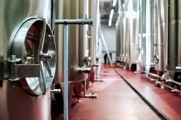 Wijnfermentatie in houten vat met schillen – uitleg over alcoholische en malolactische fermentatie