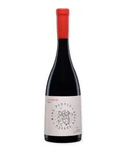 Wine People Red Blend Guria is een lichte, droge rode qvevriwijn van Otskhanuri Sapere en Dzelshavi. Natuurlijk, ongefilterd en elegant.