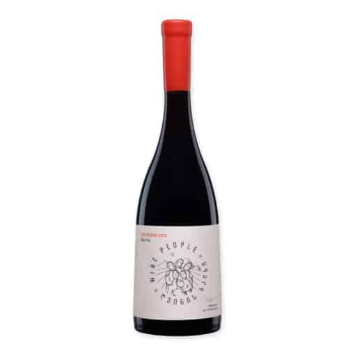 Wine People Red Blend Guria is een lichte, droge rode qvevriwijn van Otskhanuri Sapere en Dzelshavi. Natuurlijk, ongefilterd en elegant.